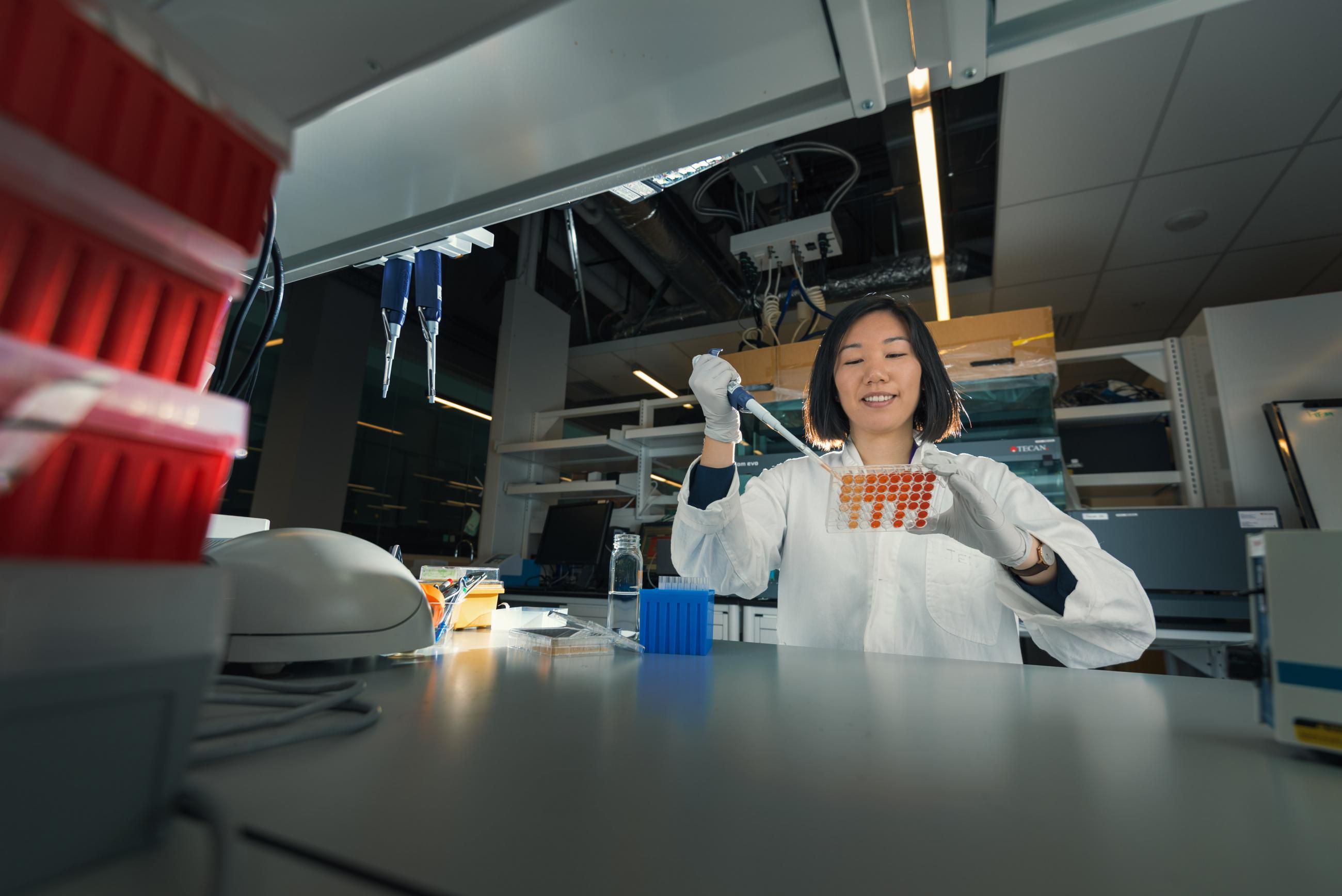 Jennifer Chiang, research assistant in the Nislow Lab, prepares plates for an experiment. Image Credit: Ivan Yastrebov, UBC Pharm Sci.