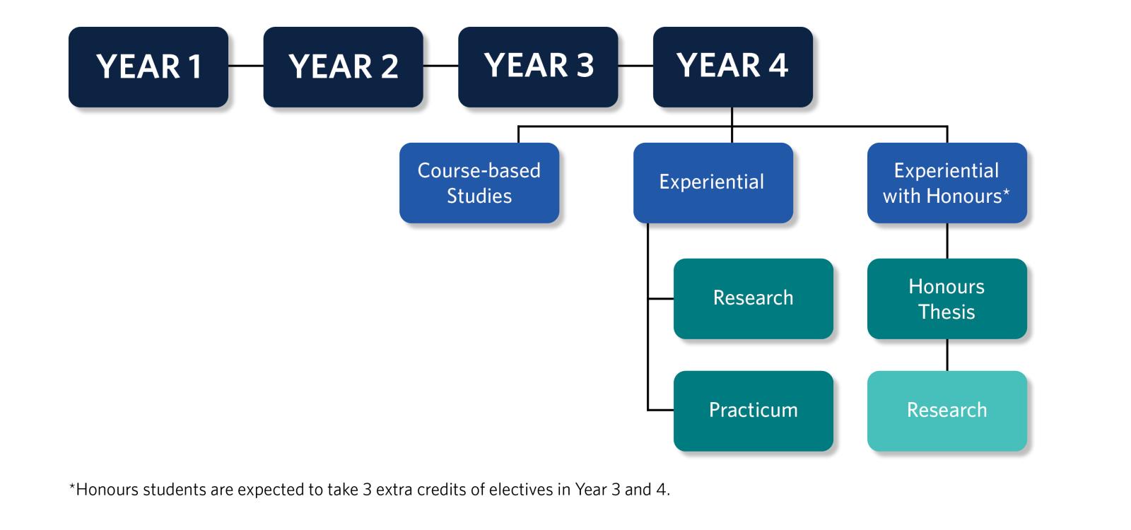 A diagram of the BPSc program timeline.