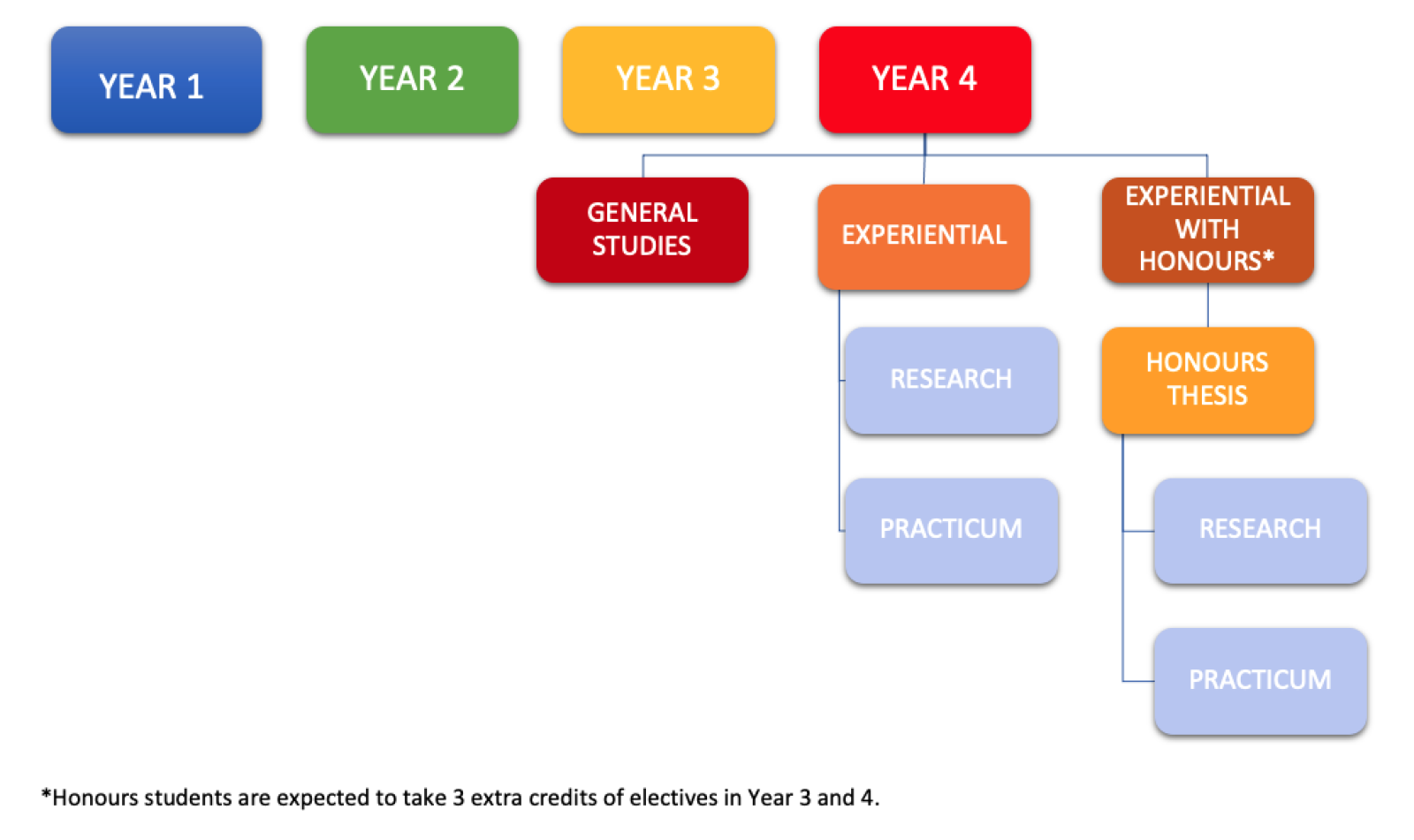 An infographic of how a student can choose their pathway of study throughout the four years of their degree.